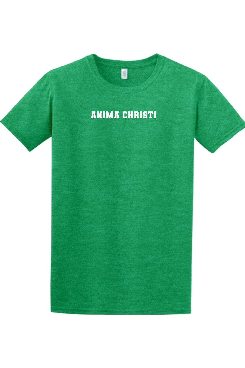 EUCHARISTIC REVIVAL PAINT THE CITY ANIMA CHRISTI T-SHIRT