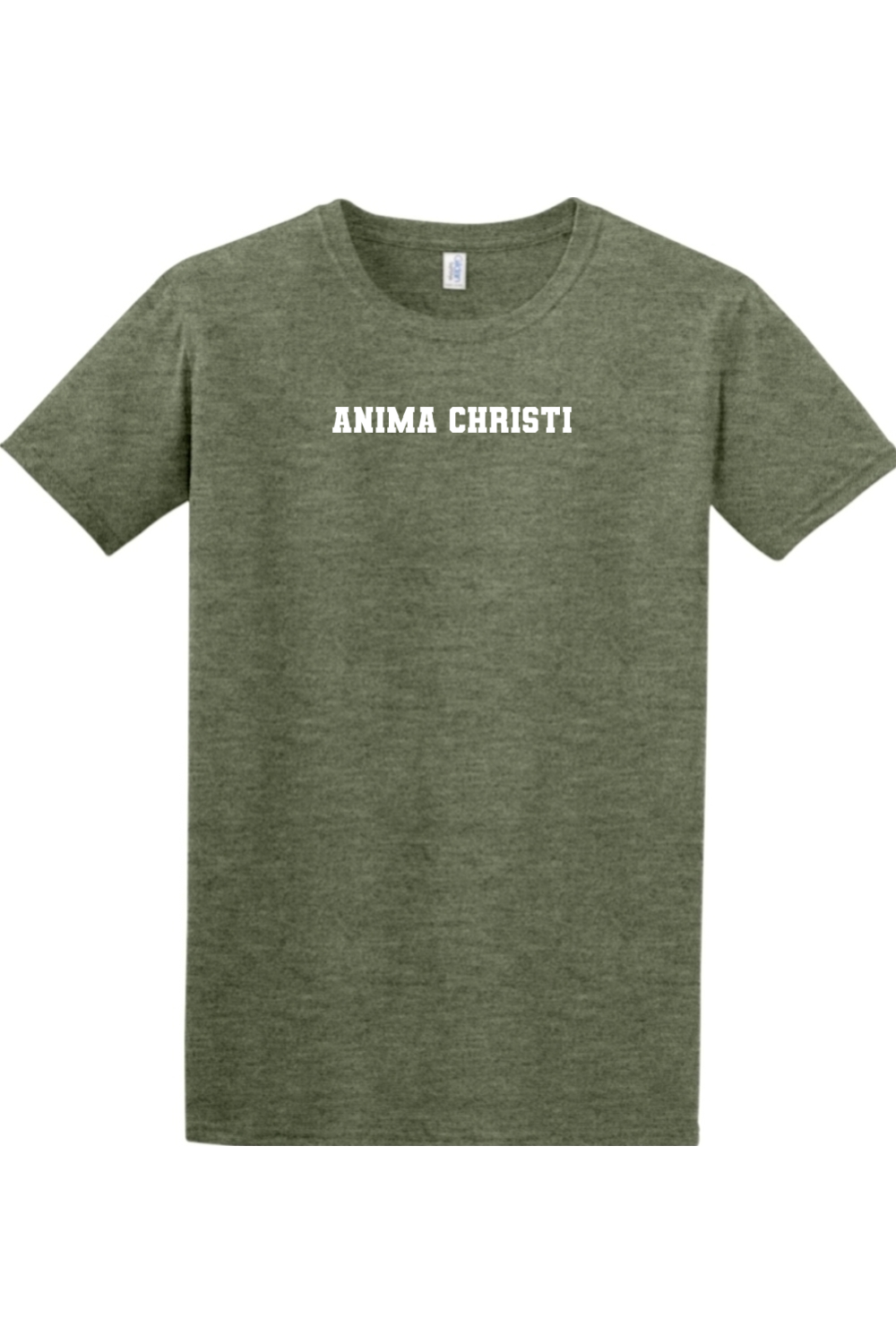 EUCHARISTIC REVIVAL PAINT THE CITY ANIMA CHRISTI T-SHIRT