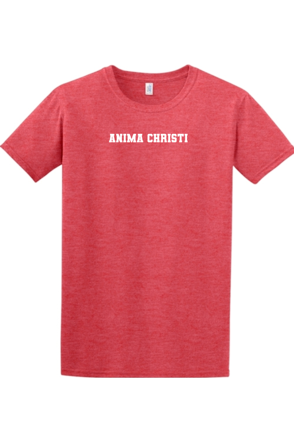 EUCHARISTIC REVIVAL PAINT THE CITY ANIMA CHRISTI T-SHIRT