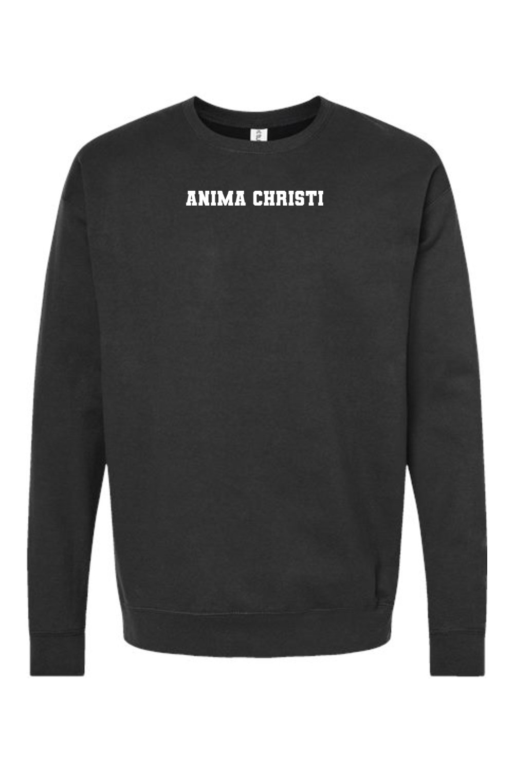 EUCHARISTIC REVIVAL PAINT THE CITY ANIMA CHRISTI CREWNECK