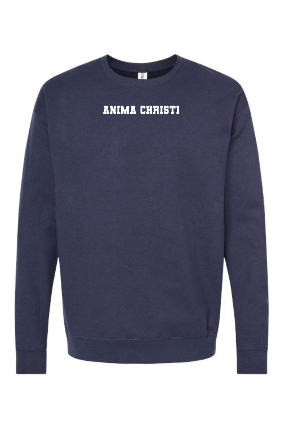 EUCHARISTIC REVIVAL PAINT THE CITY ANIMA CHRISTI CREWNECK