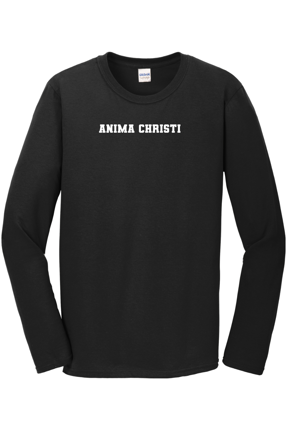 EUCHARISTIC REVIVAL PAINT THE CITY ANIMA CHRISTI LONG SLEEVE