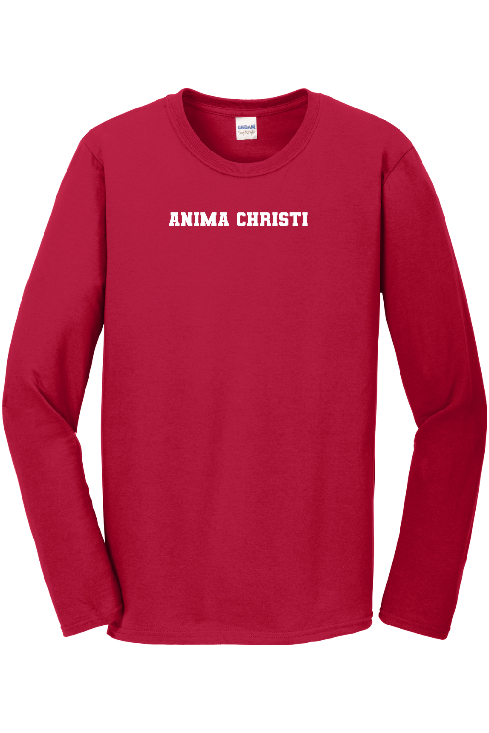 EUCHARISTIC REVIVAL PAINT THE CITY ANIMA CHRISTI LONG SLEEVE